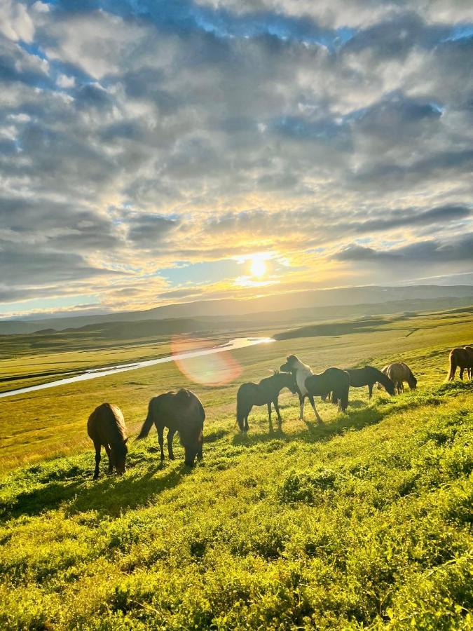 Stóra-Ásgeirsá Horse Farm Stay Vithigerthi Esterno foto