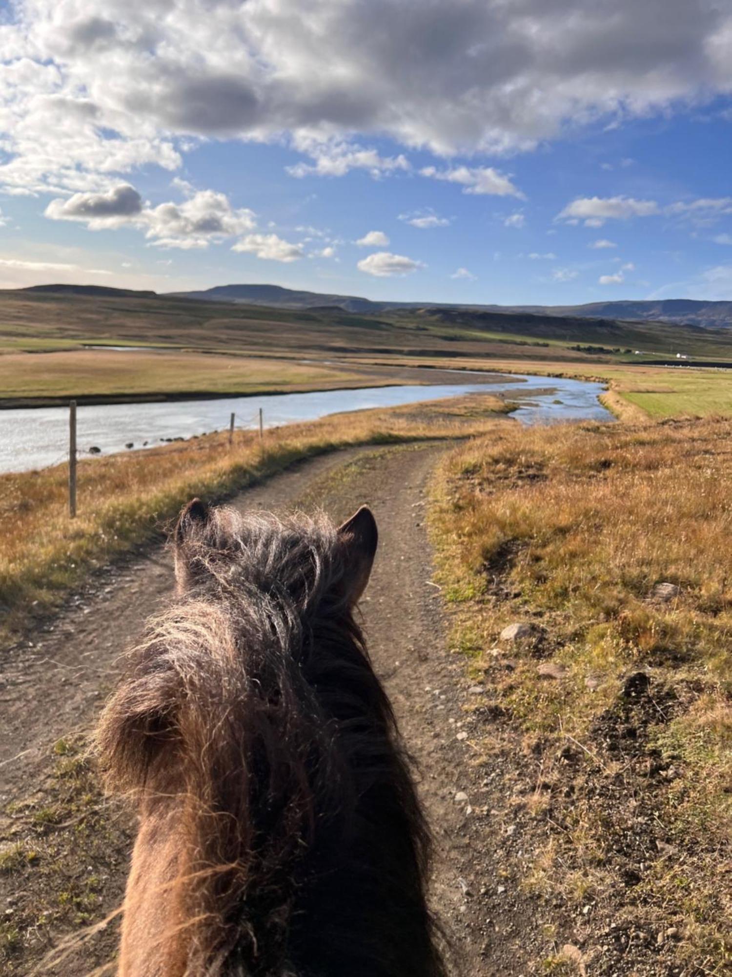 Stóra-Ásgeirsá Horse Farm Stay Vithigerthi Esterno foto