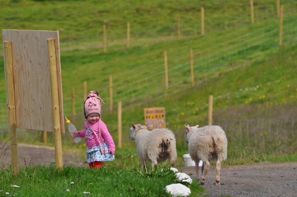 Stóra-Ásgeirsá Horse Farm Stay Vithigerthi Esterno foto