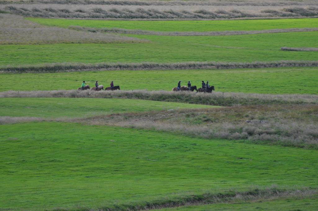 Stóra-Ásgeirsá Horse Farm Stay Vithigerthi Esterno foto