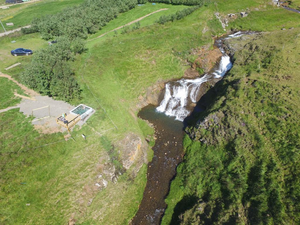 Stóra-Ásgeirsá Horse Farm Stay Vithigerthi Esterno foto
